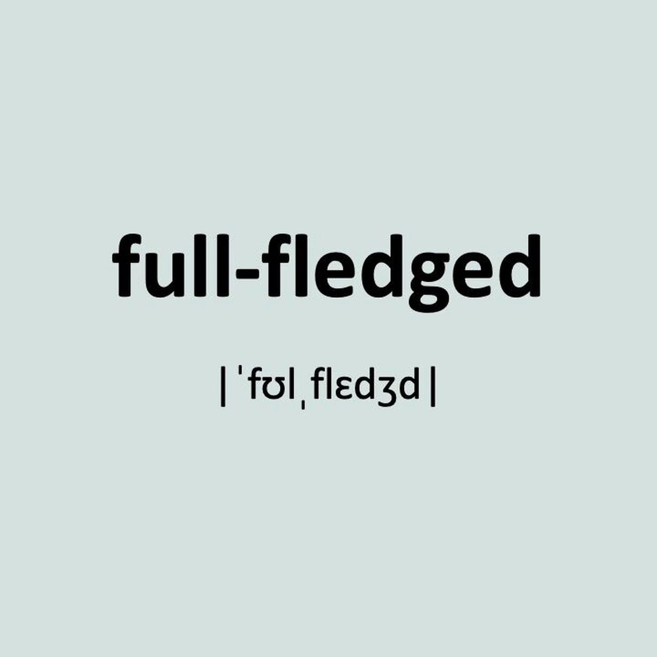 full-fledged是什么? 英语中表达"完全合格的;成熟的"的一种方式.