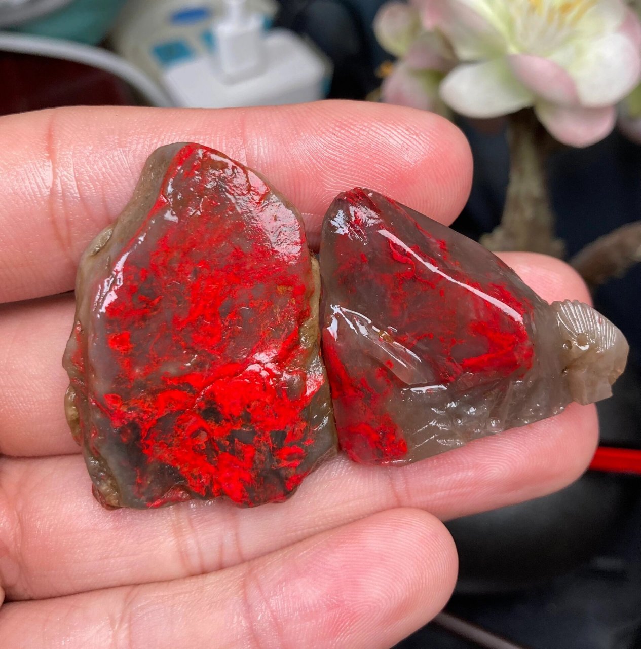 昌化鸡血石 昌化鸡血石巴林鸡血石