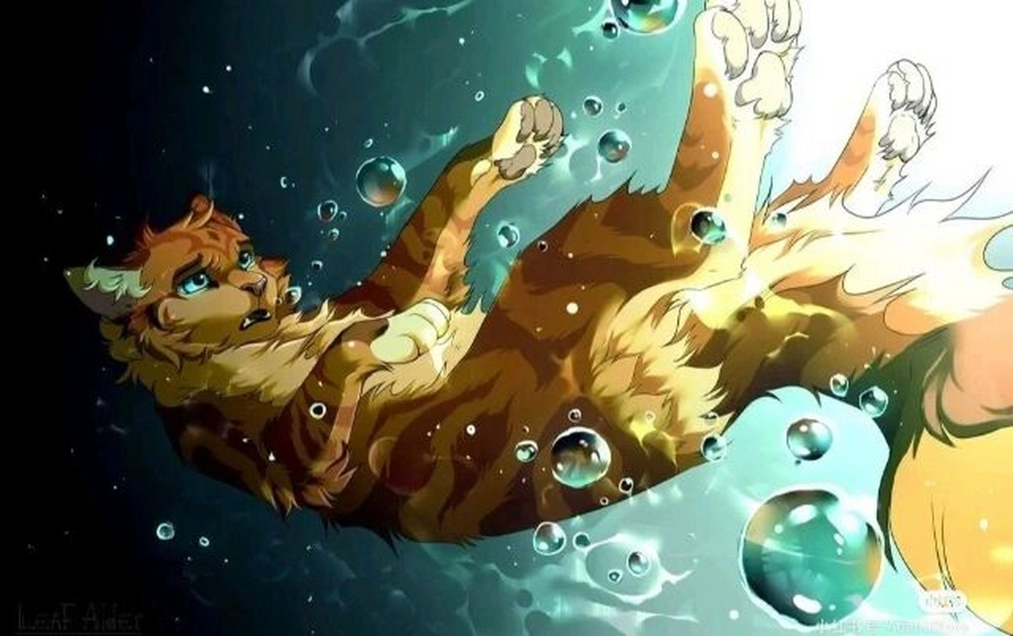 猫武士里你最讨厌哪只母猫? 我讨厌滑须