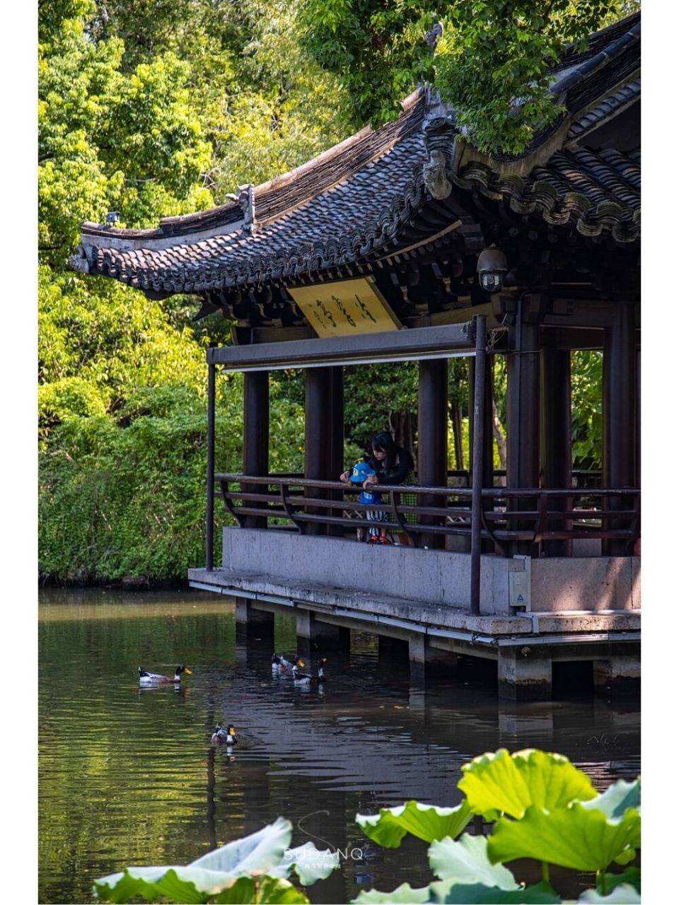 绍兴沈园,最让人心疼的江南园 在所有的江南园林中,恐怕没有哪一个