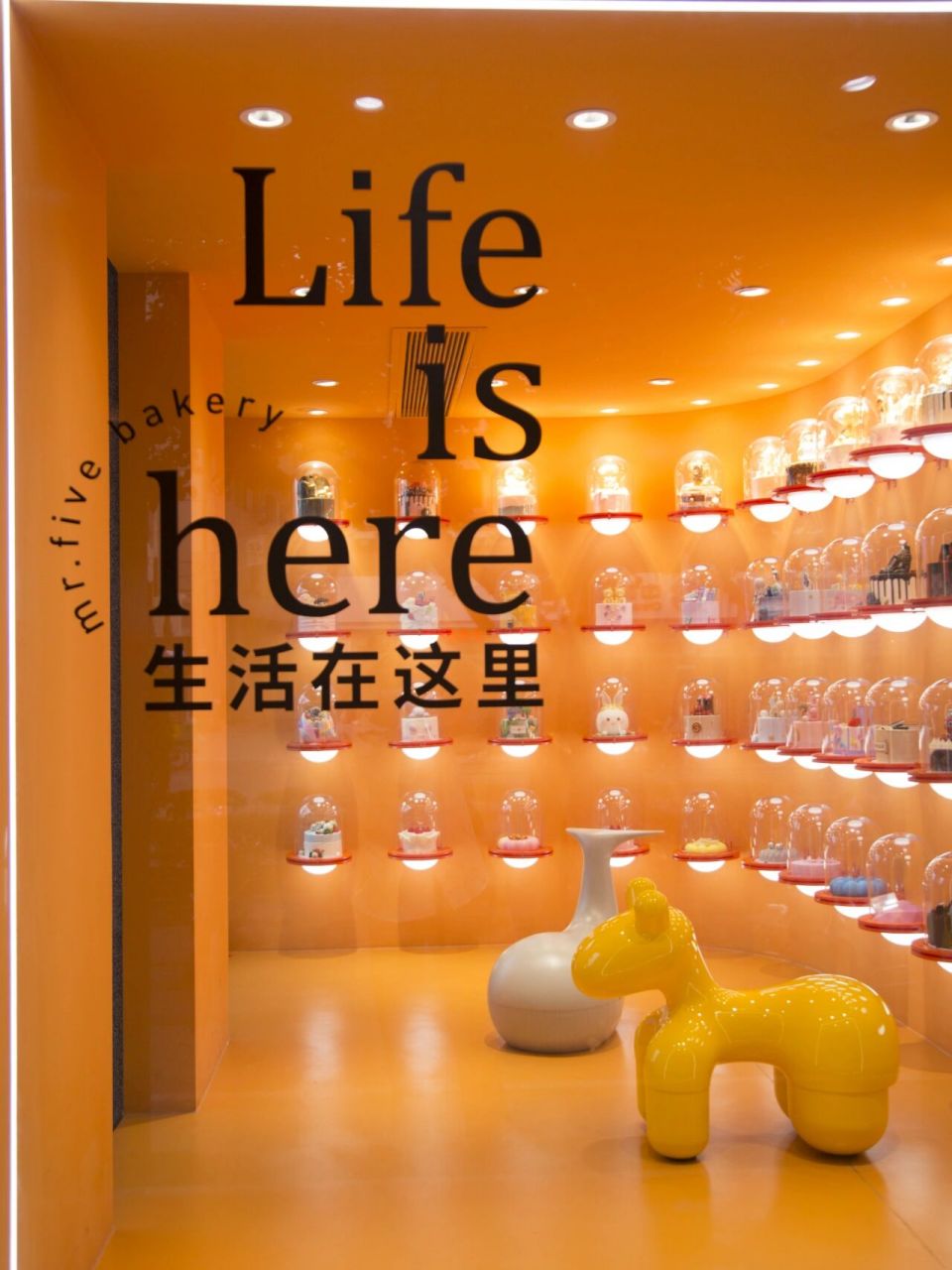 泉州探店|伍氏特香包 作为泉州老牌面包店伍氏特香包重装升级啦,给你