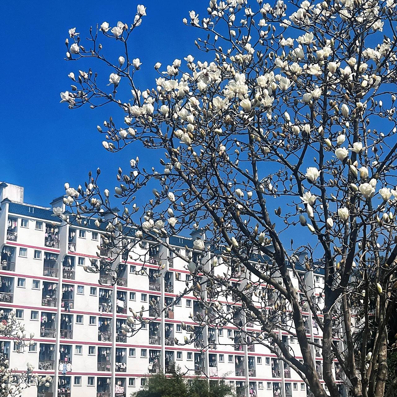 福州黎明职业技术学院 应该有很多学弟学妹准备填报志愿了,本学姐在线