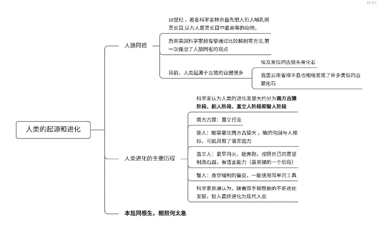 自然选择学说思维导图图片