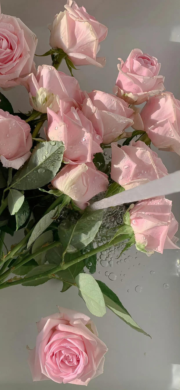 愿余生鲜衣怒马,有人陪你看遍烈焰繁花!