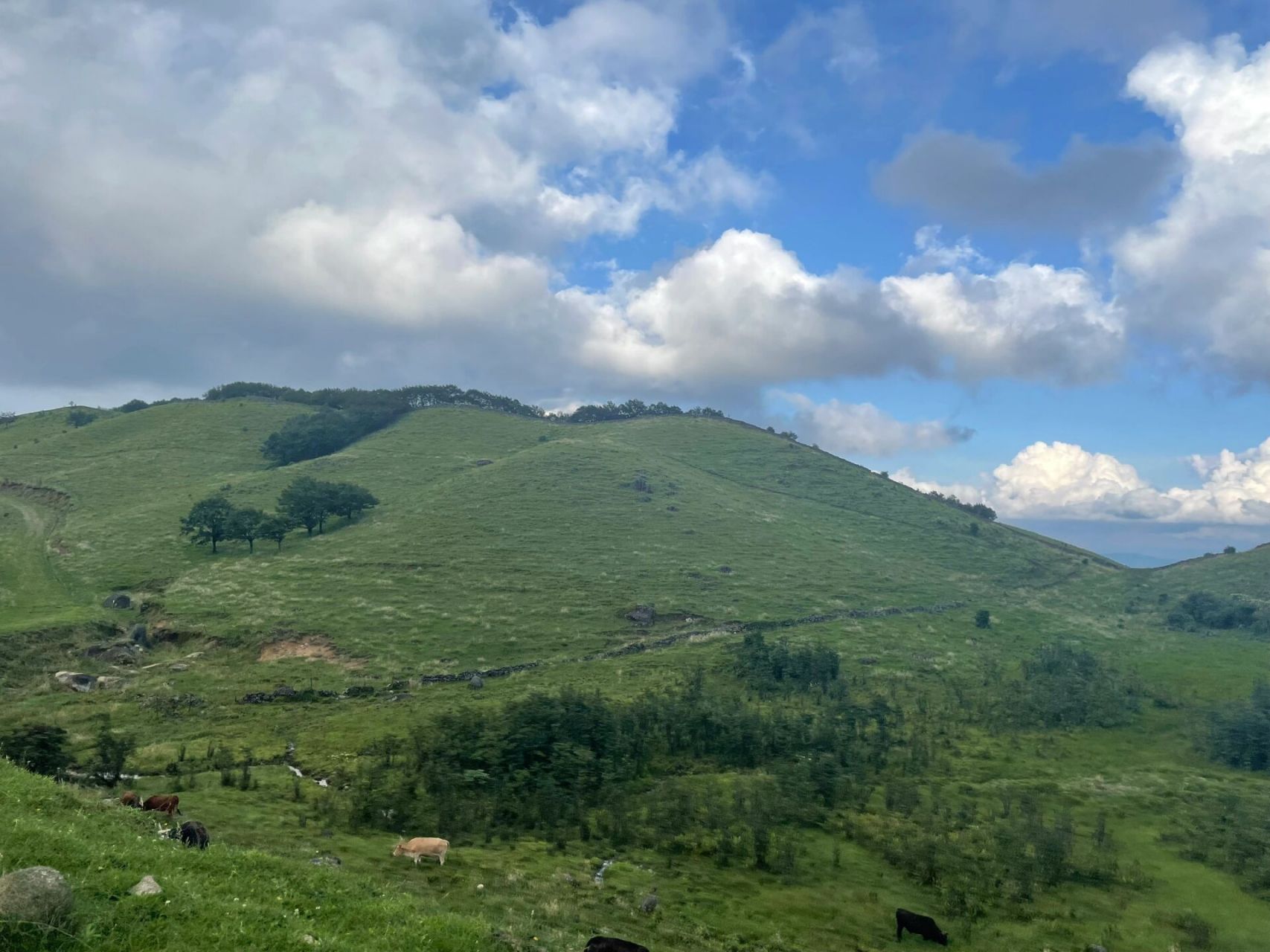 湖南邵阳南山牧场真的值得一来!