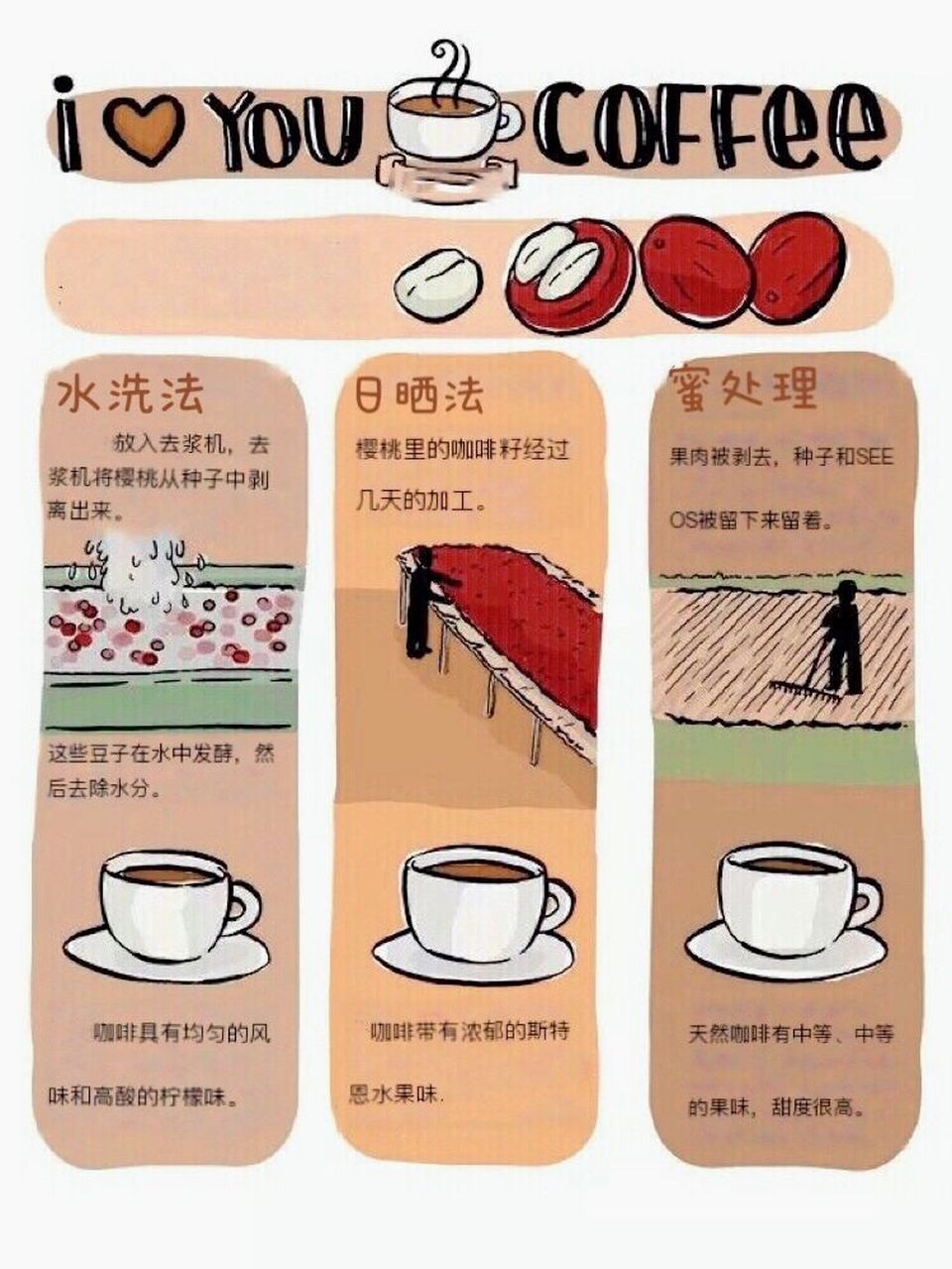 咖啡生豆的几种处理法 简单分享几个咖啡豆处理方,了解咖啡风味不同的