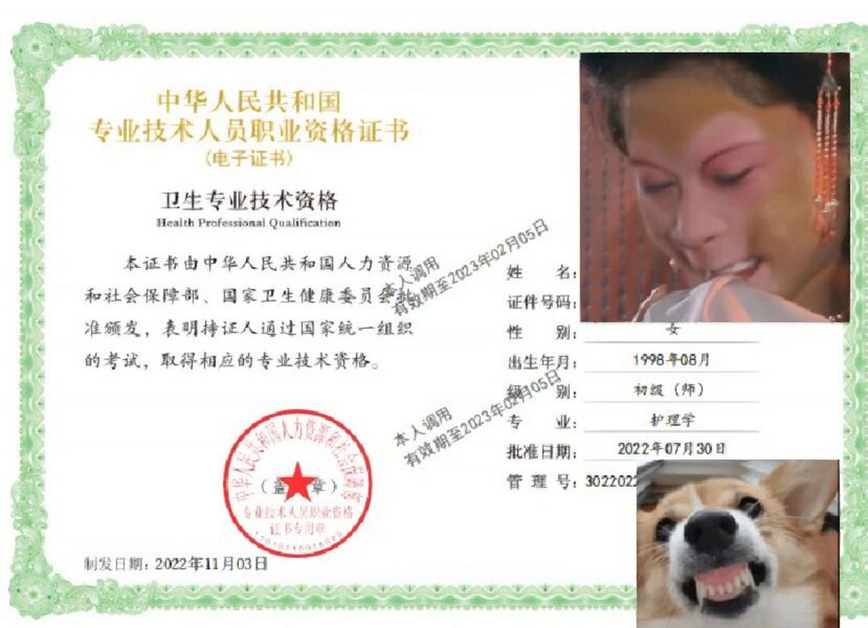 护师证电子版阔以查到啦 终于可以查到证书啦～  登陆中国人事考试网