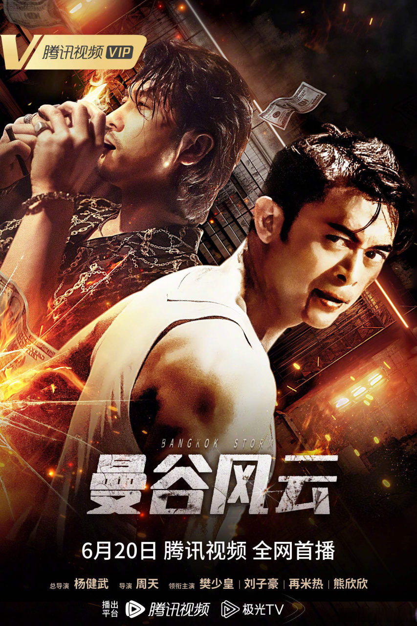 樊少皇 力王归来,重出江湖绝境复仇,孤身闯匪窝搏命持刀悍匪,真拳实