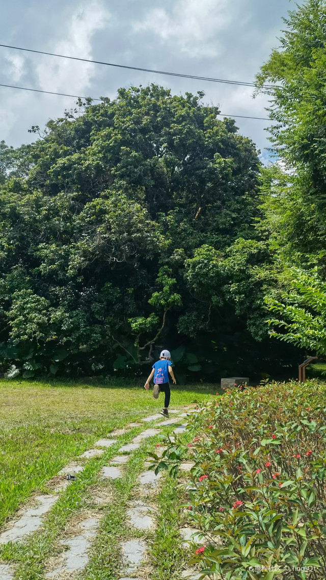 超强攻略_玩转广州流溪河夏湾拿湿地公园之行