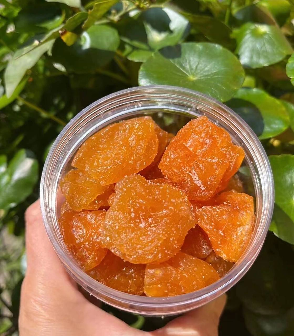 竹盐枇杷干 竹蜂盐枇杷干,润肺止咳,喉咙肿痛,最适合现在的天气食用