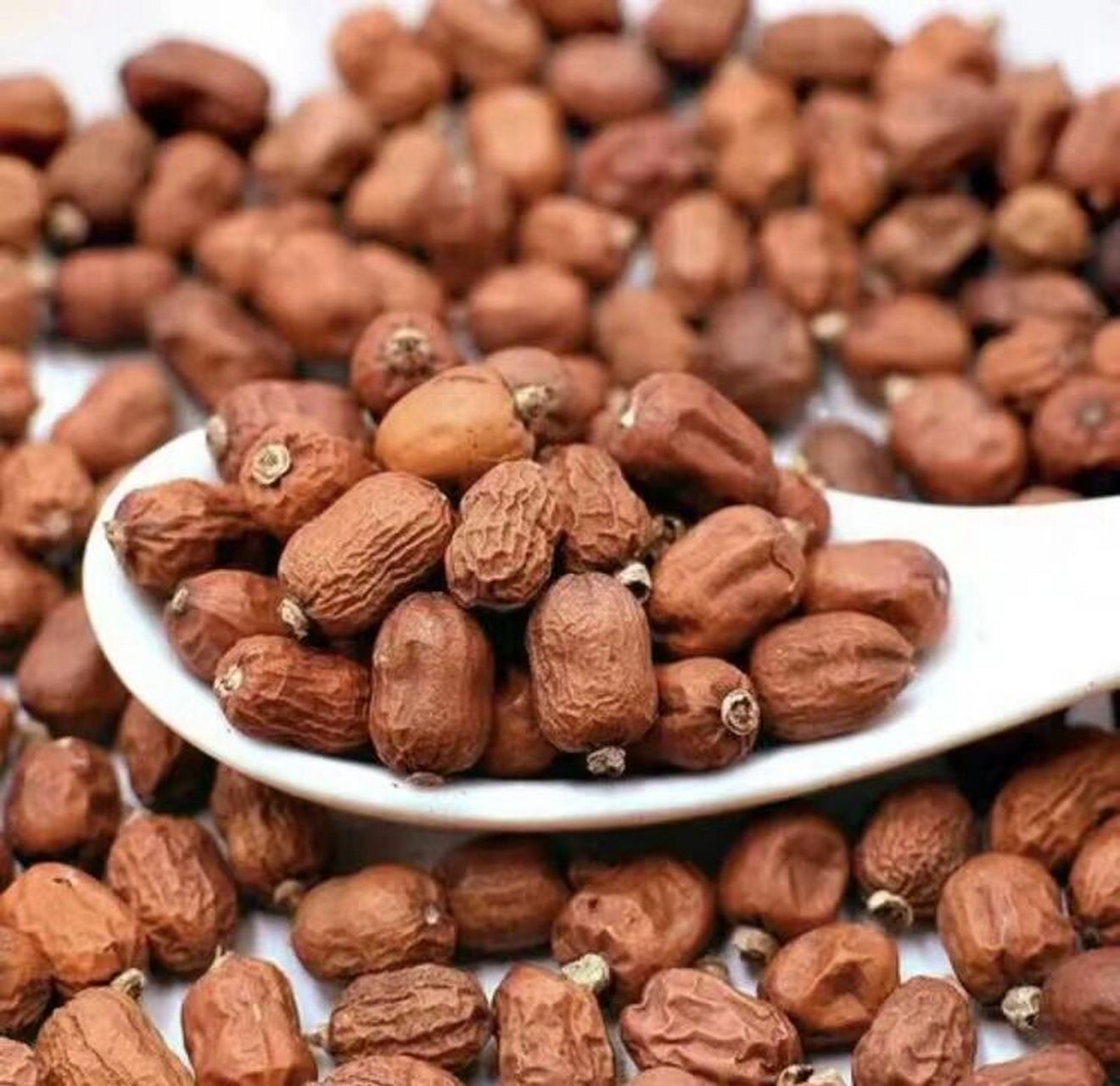 所有的大料都是中药! 今日分享红蔻. 红蔻,别名红豆蔻,红豆,良姜佑.