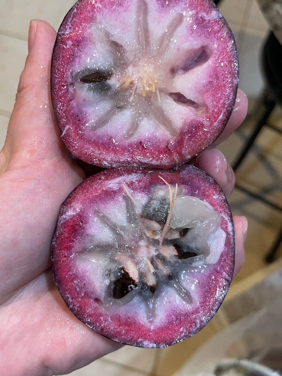 有些水果尝一次就好了🤣越南牛奶果 传说中的牛奶果真的没有想象的