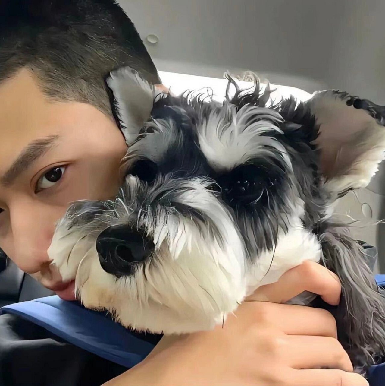 分享不明显的情侣头像,一人一图 自用情头～需要的自己截图自取哦