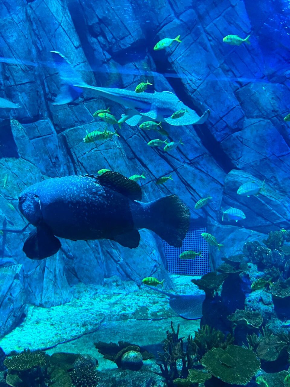 漳州长泰天柱山 浪漫不过海洋馆蓝色真的很治愈