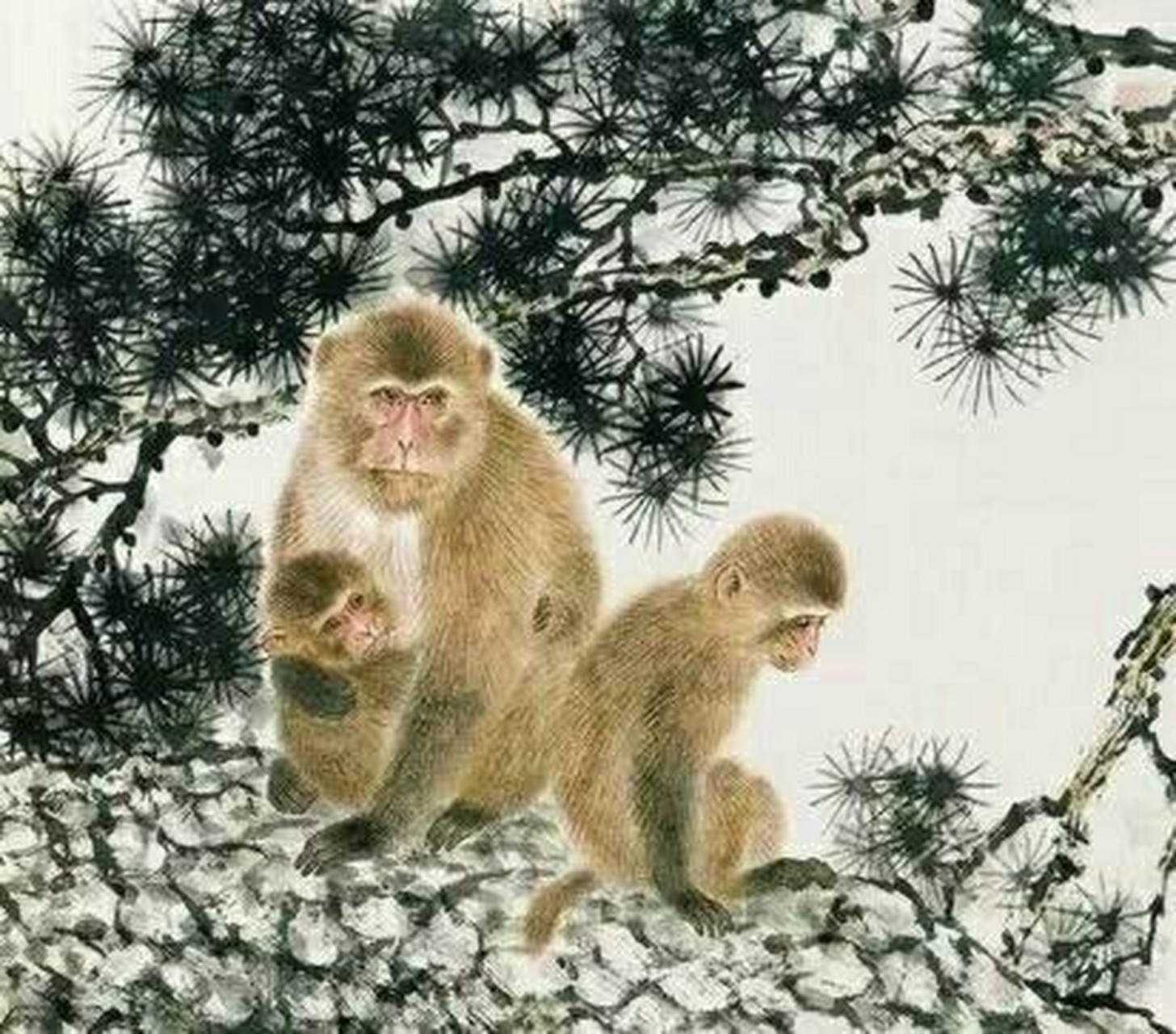 2021的生肖猴在五行上与太sui构成相合,主导各个方面的yun势都很顺畅.