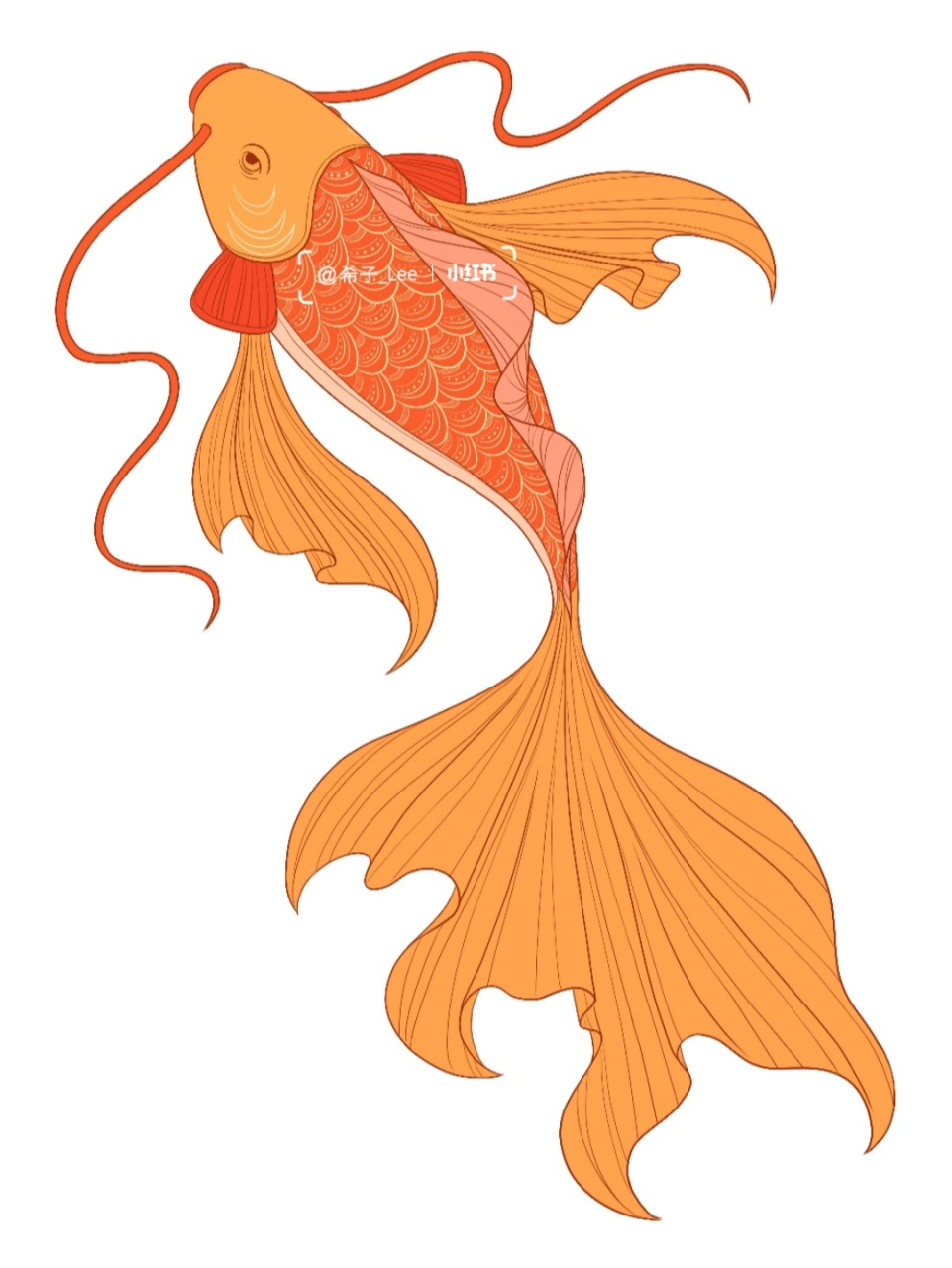 今日份国风插画小元素——锦鲤(内含步骤) 国风插画小元素打卡第2张!