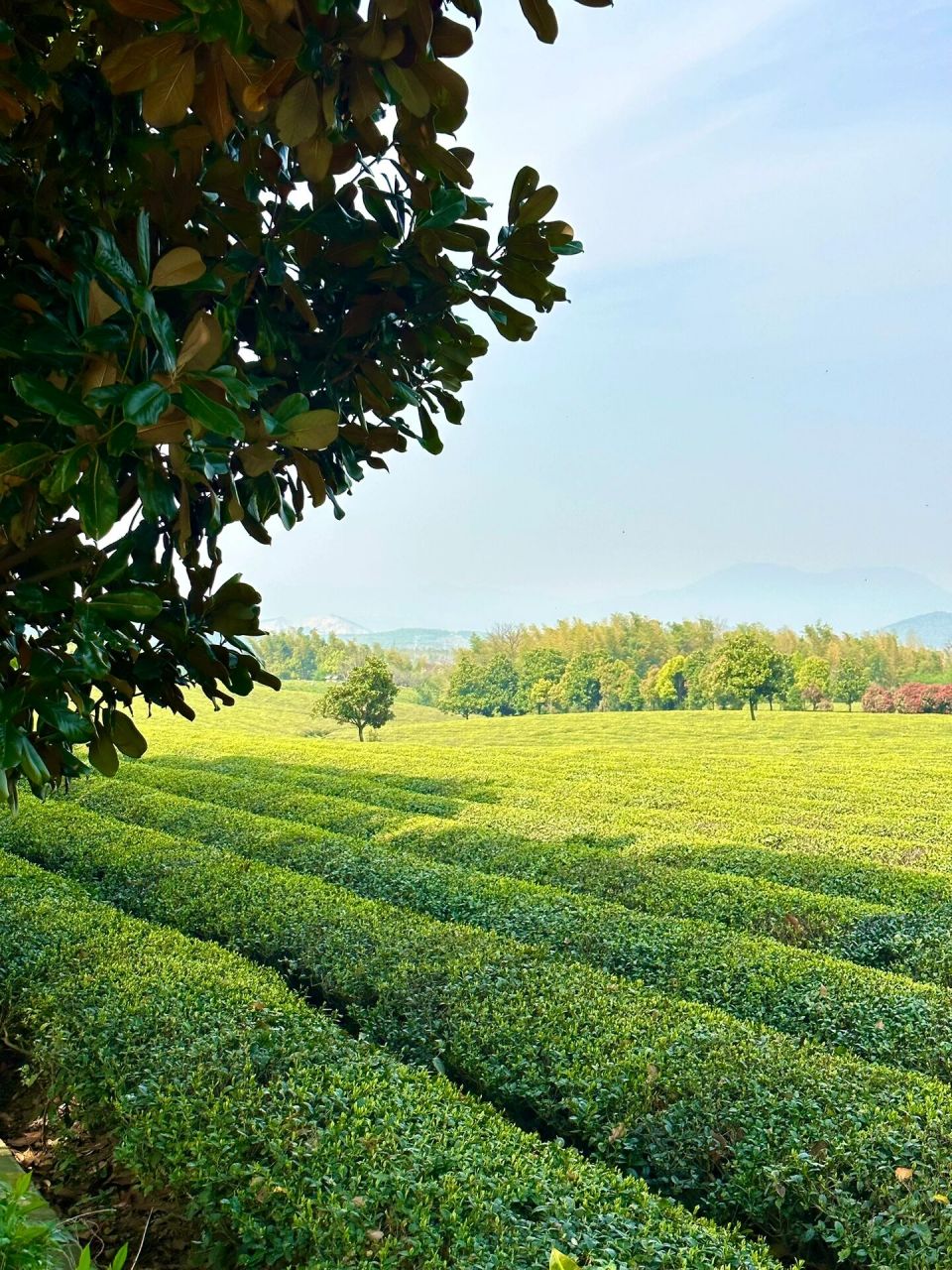 宜兴宝藏免费景点-龙池山自行车公园 燃烧卡路里的一天,宜兴的龙池山