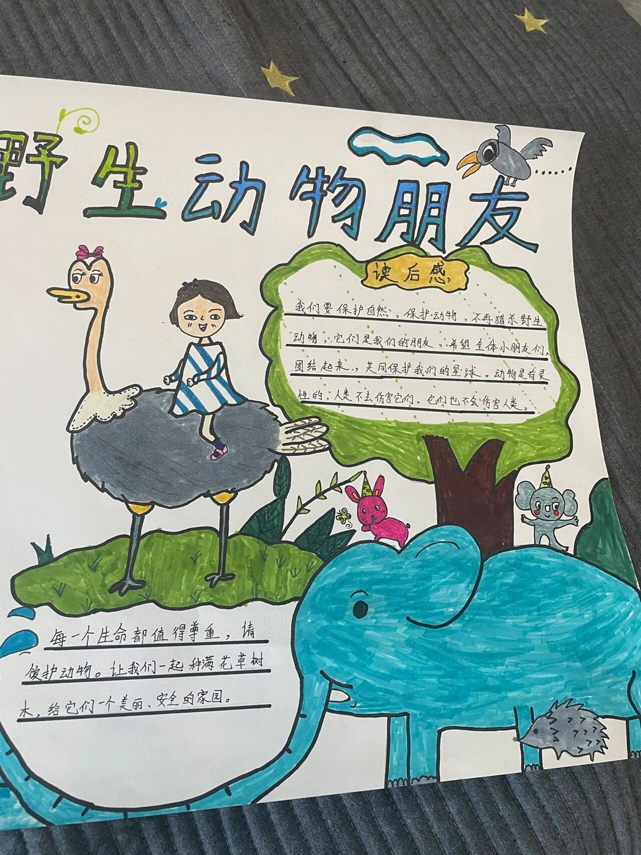 我的野生动物朋友手抄报