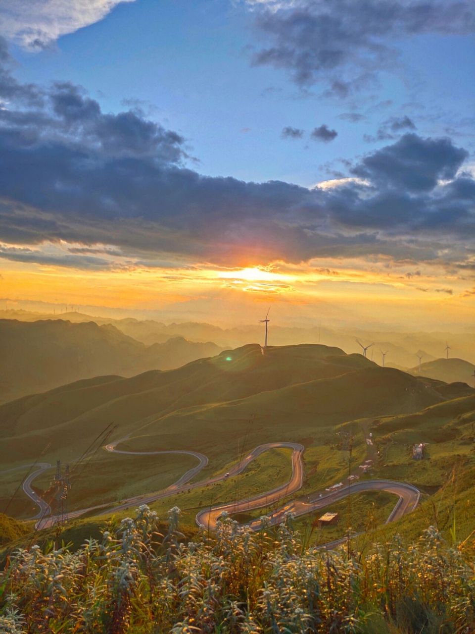 阿西里西草原 地址:贵州毕节赫章韭菜坪景区 交通:推荐自驾游 韭菜花