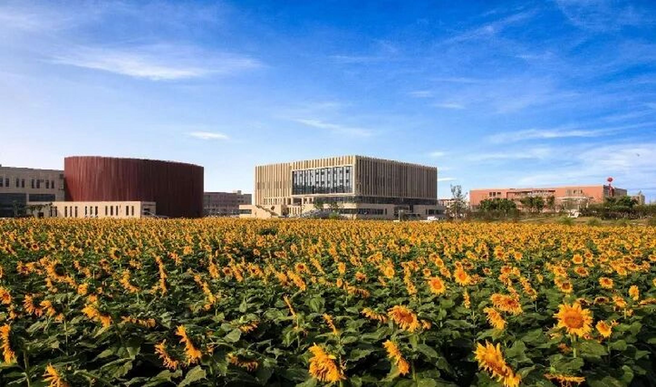 浙江机电职业技术学院介绍  有两个校区分别是滨江校区和海宁校区 滨