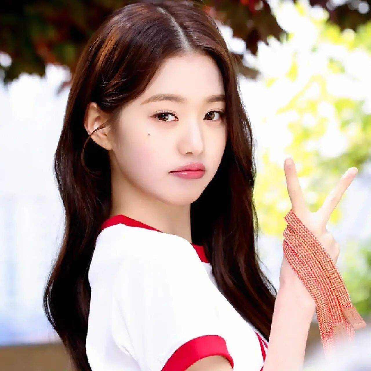 张元英稀有头像