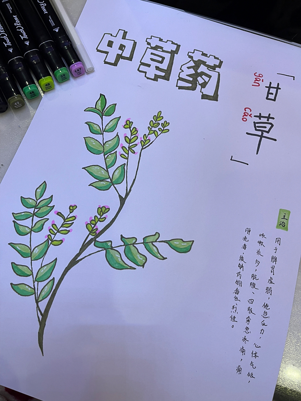 中草药 手抄报 尺寸8k,原图cruse