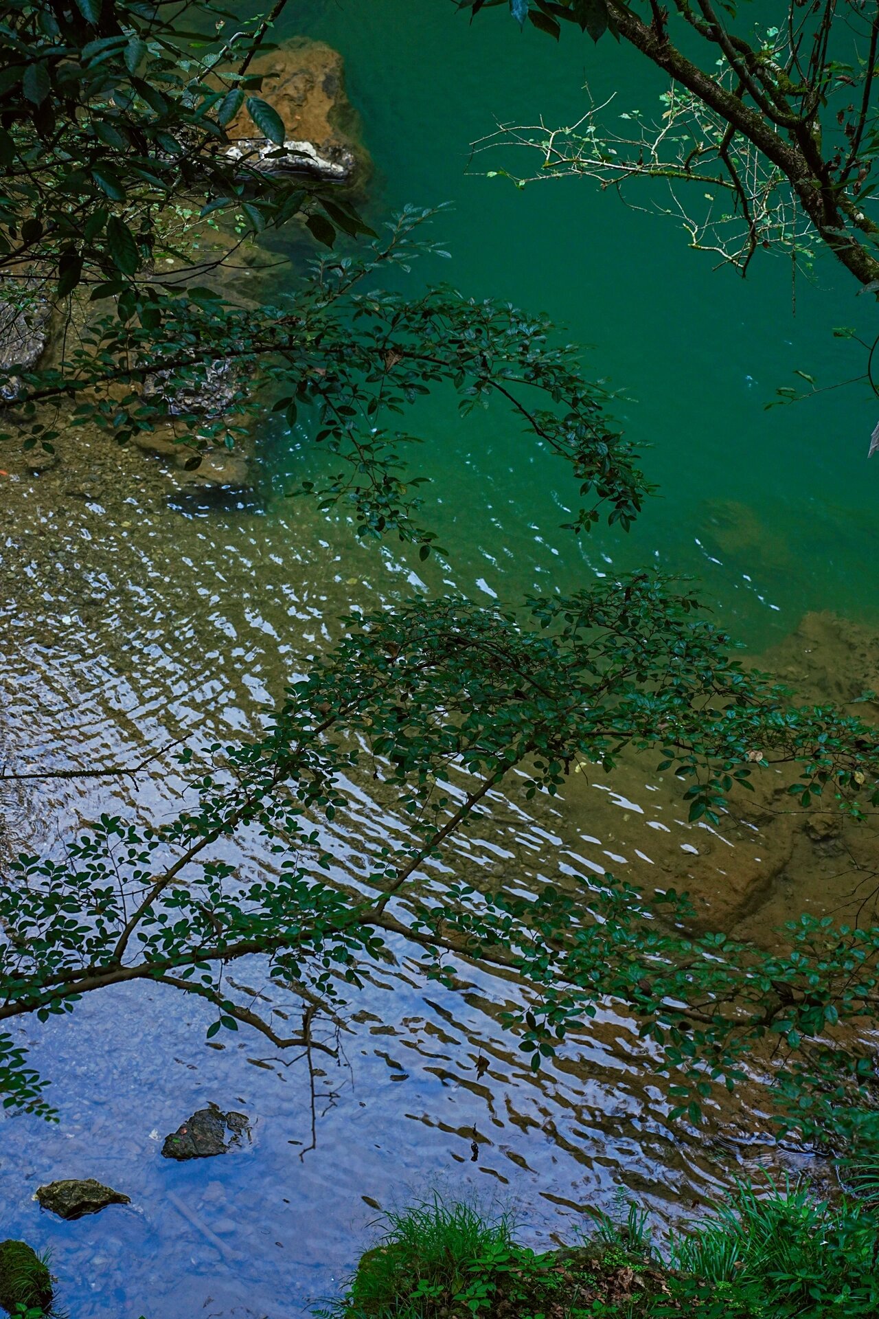 十一黄山旅游小众风景区-打鼓岭