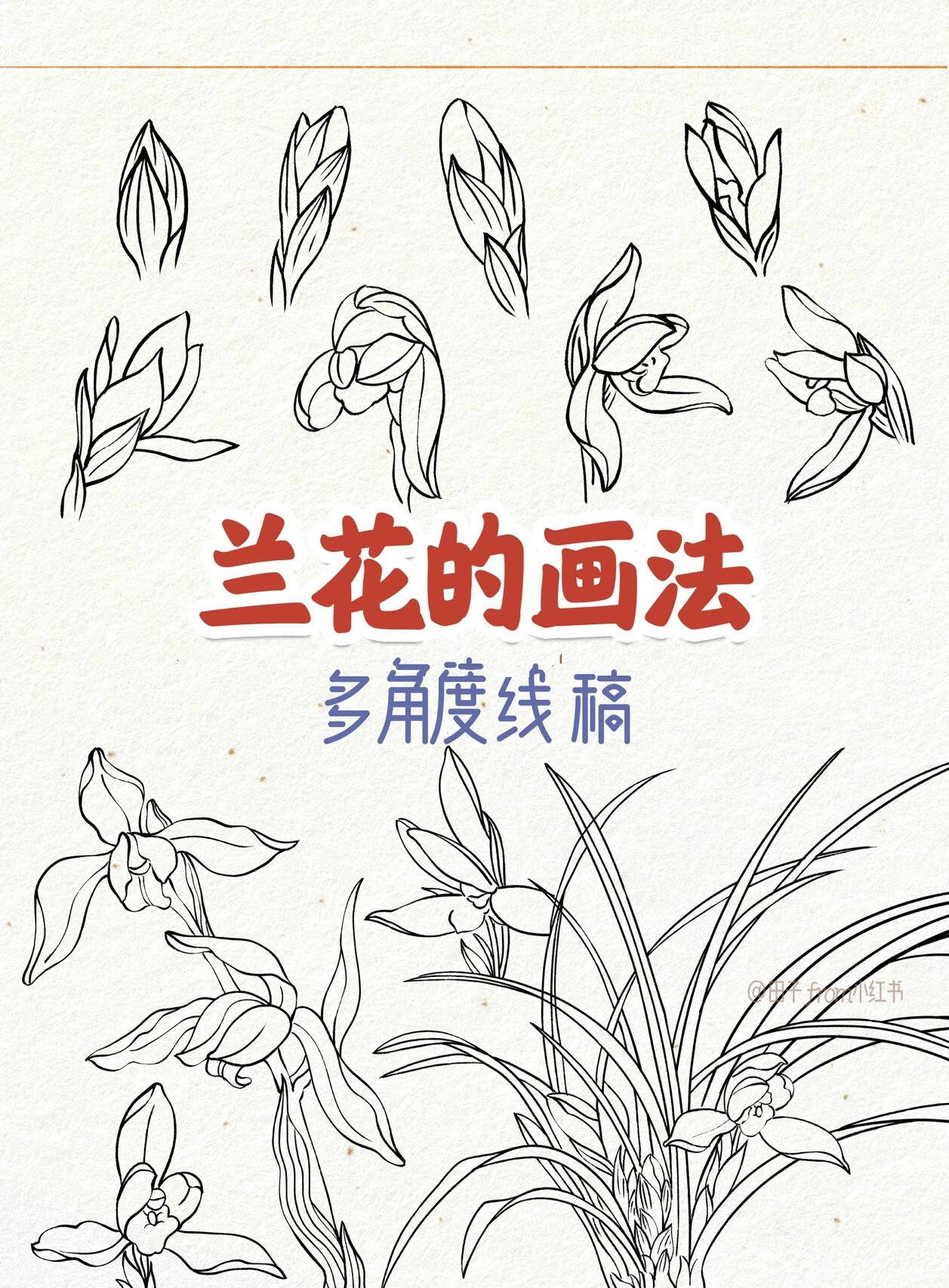 多角度线稿 | 零基础绘画教程