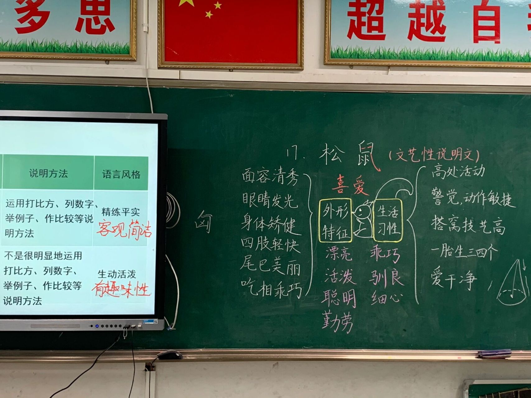 部编五上第17课《松鼠》板书设计  这是一篇文艺性说明文,与《太阳》