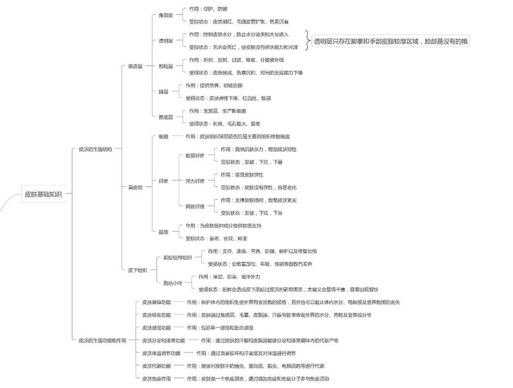 皮肤结构以及护肤要点思维导图 此思维导图是自己了解的一些知识,如有