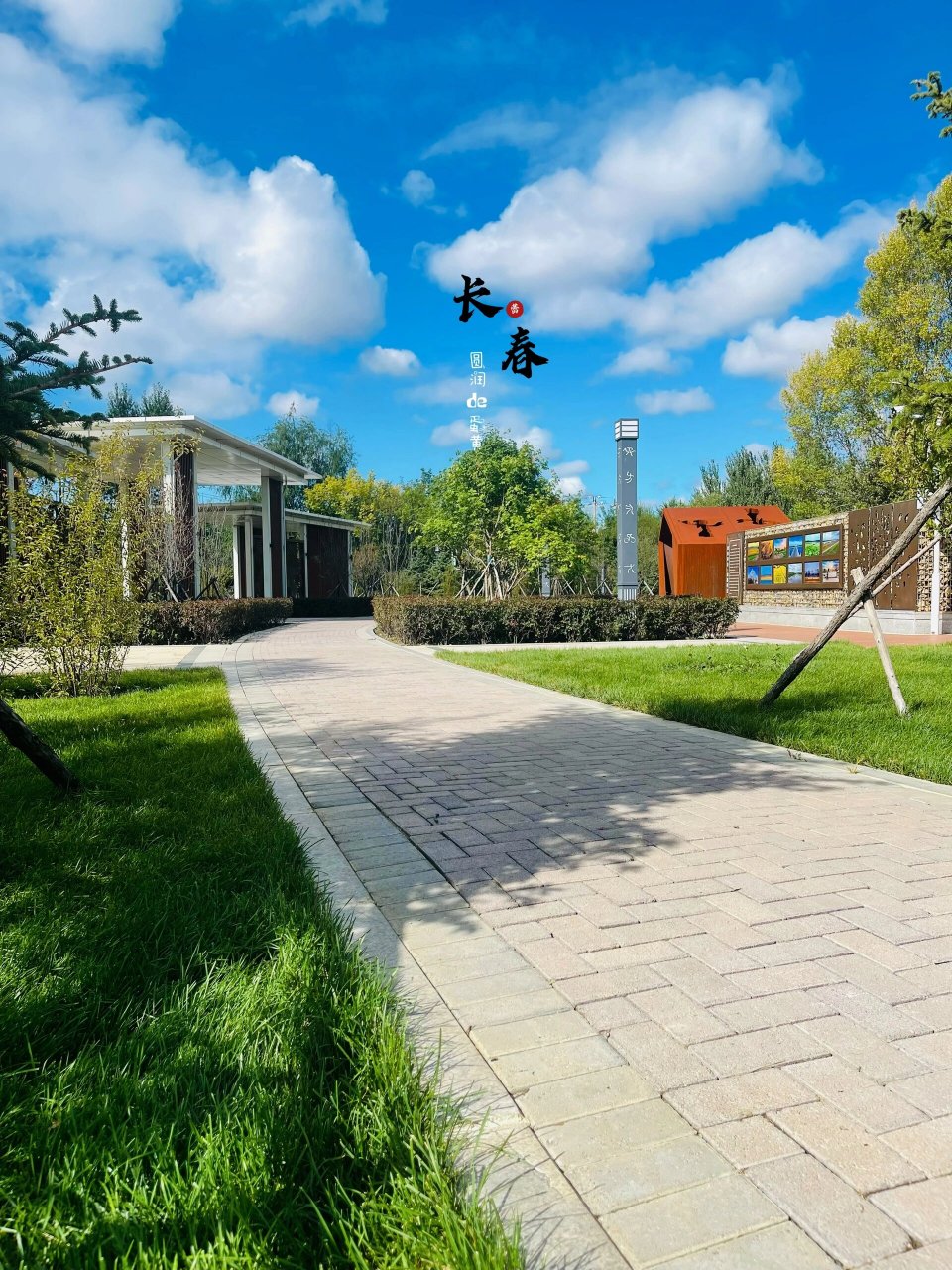 双辽·辽河公园96 双辽|时光在苒,见证芳华.