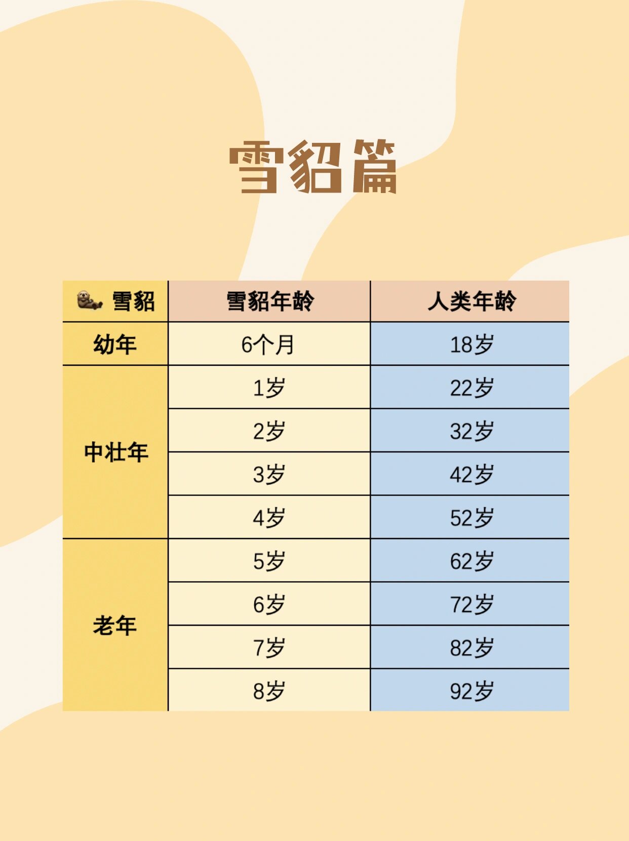 安格鲁雪貂寿命图片