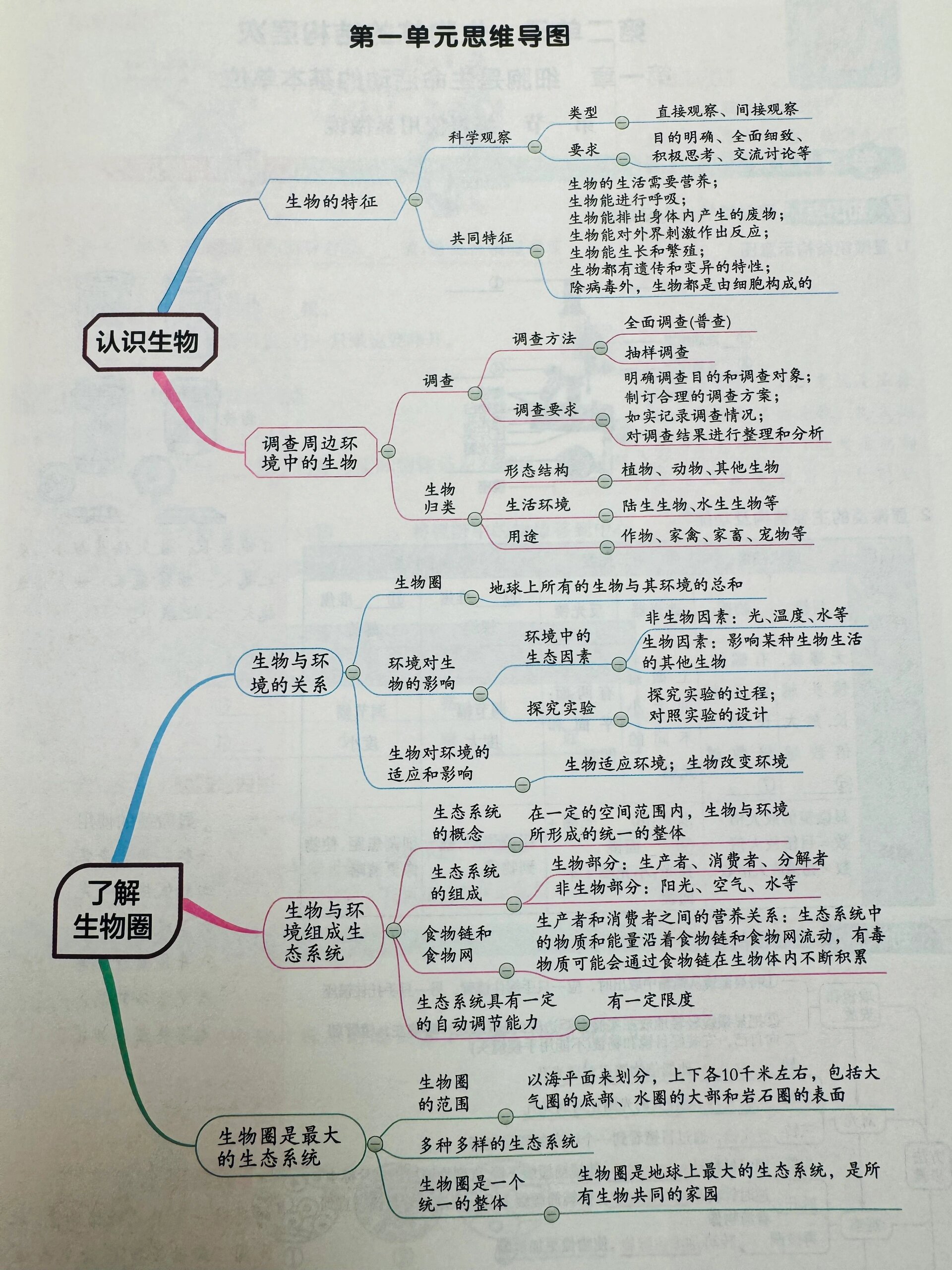 生命体征思维导图图片