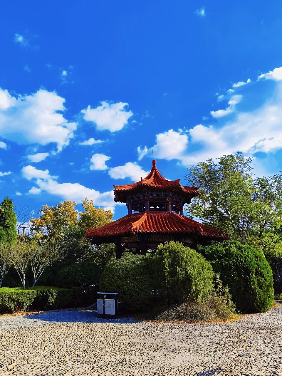 药山公园 留得残荷听雨声.