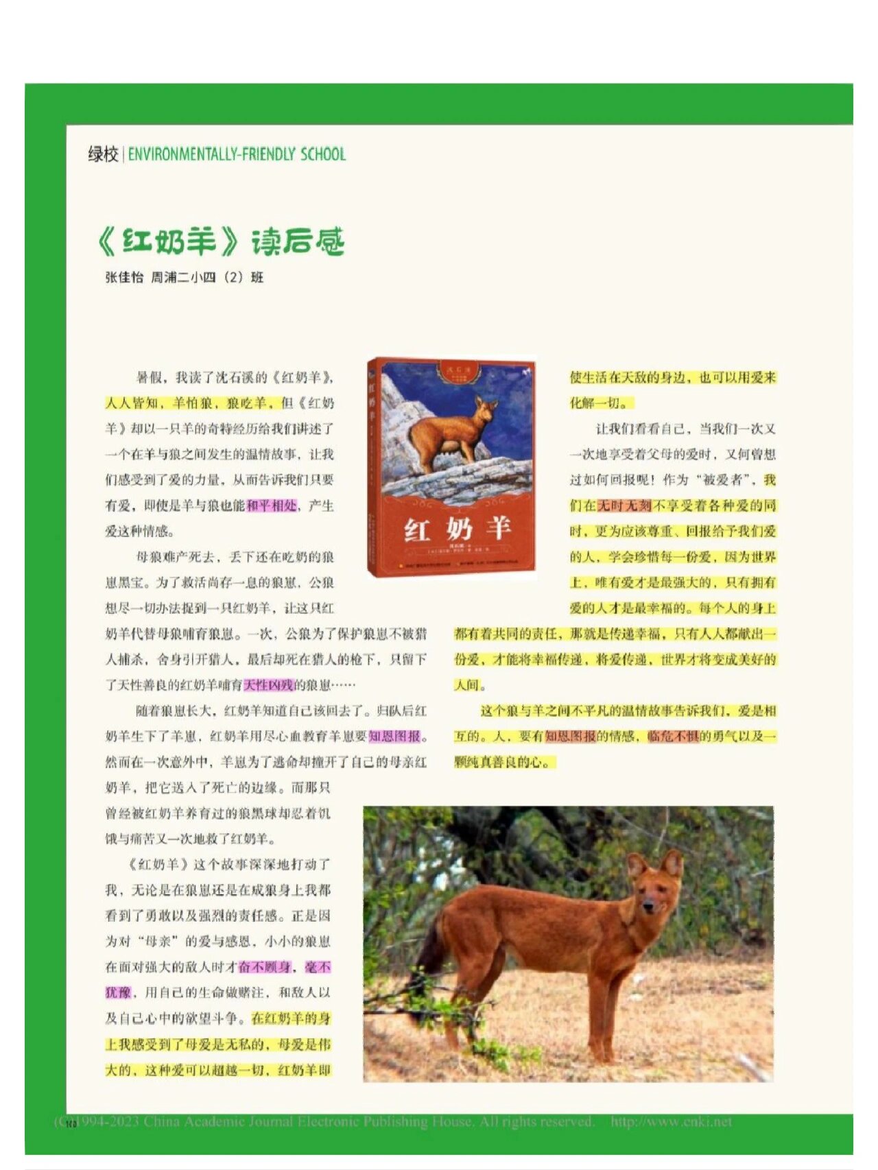 《红奶羊》 有宝妈问四夕有没有办法帮自己孩子提升语文文笔,小学时候