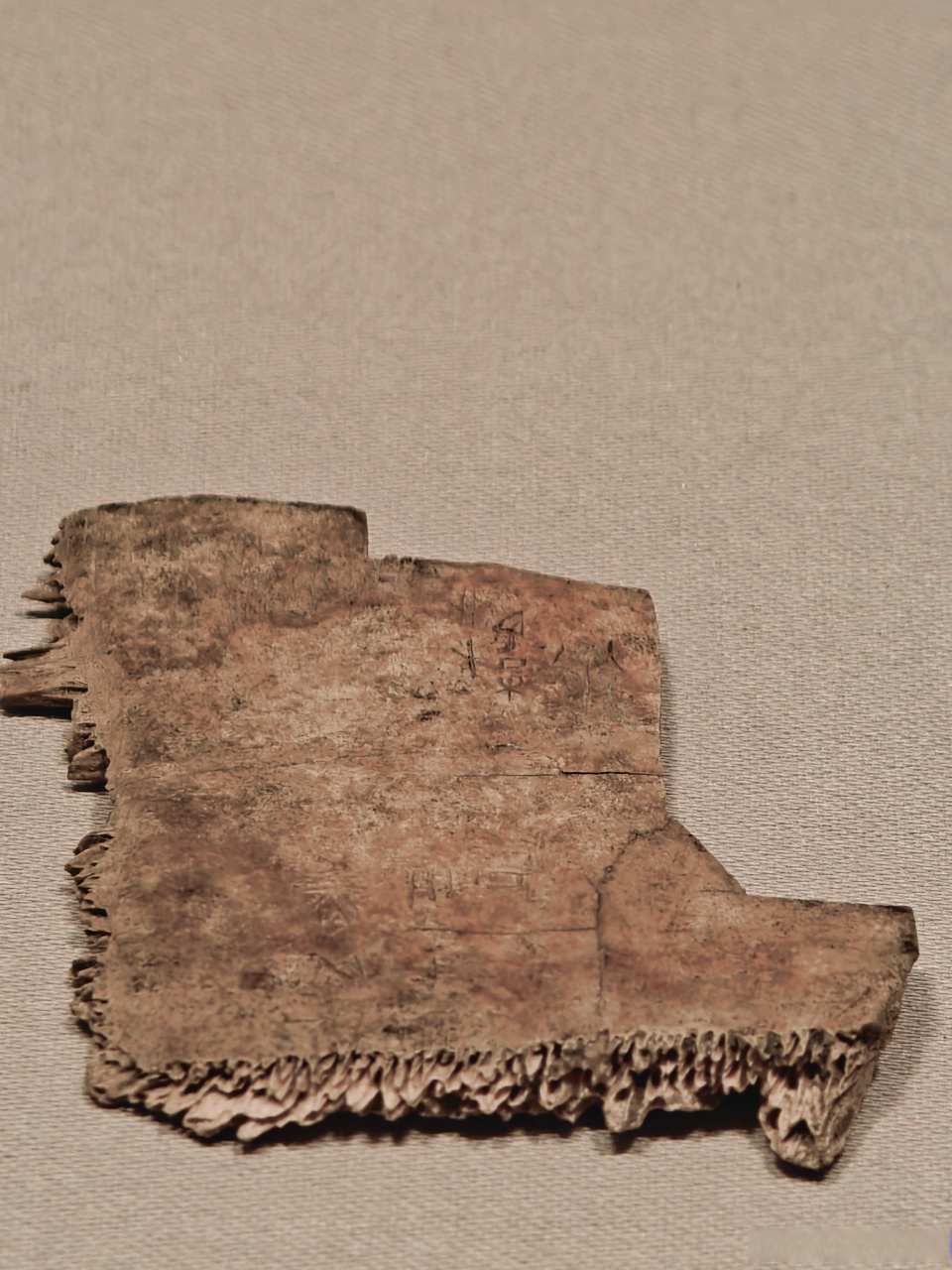 天博藏珍# 商武丁 三百羌用于丁卜甲  77耀世奇珍——馆藏文物精品