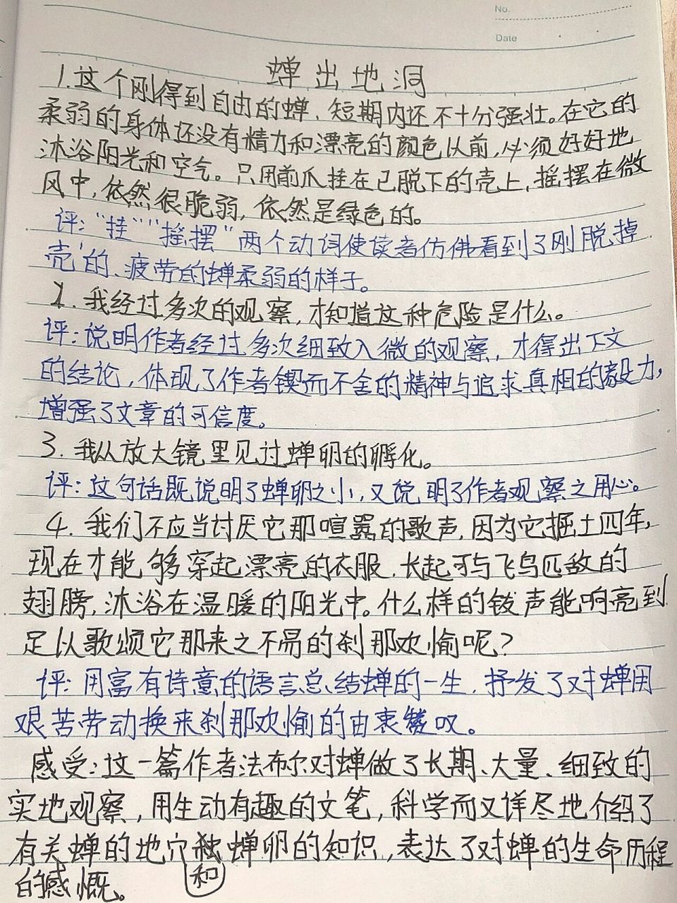 昆虫记读书笔记 第4章蝉出地洞