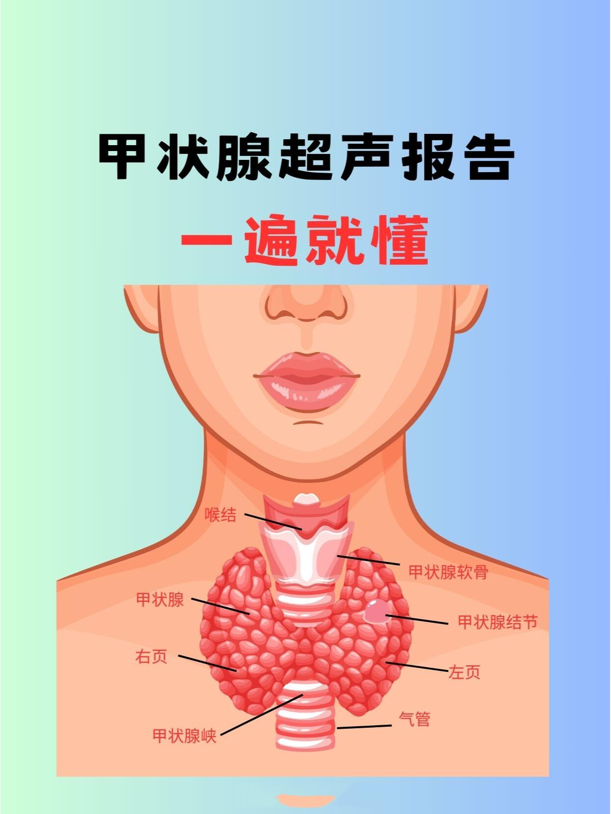 甲状腺测量示意图图片