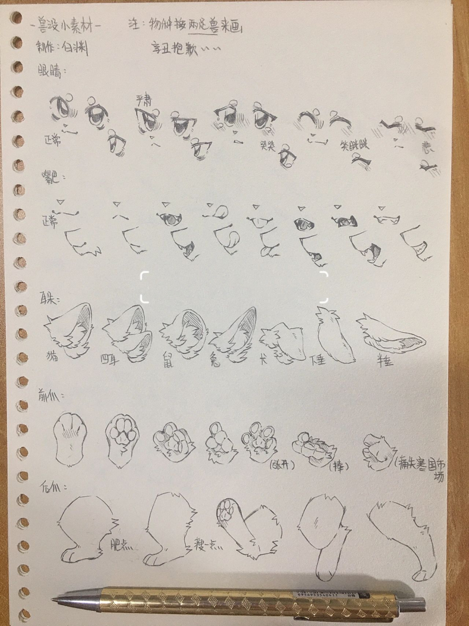 【兽设素材】希望对你有帮助～ 素材o(`ω07 )o下次会出教程什么的