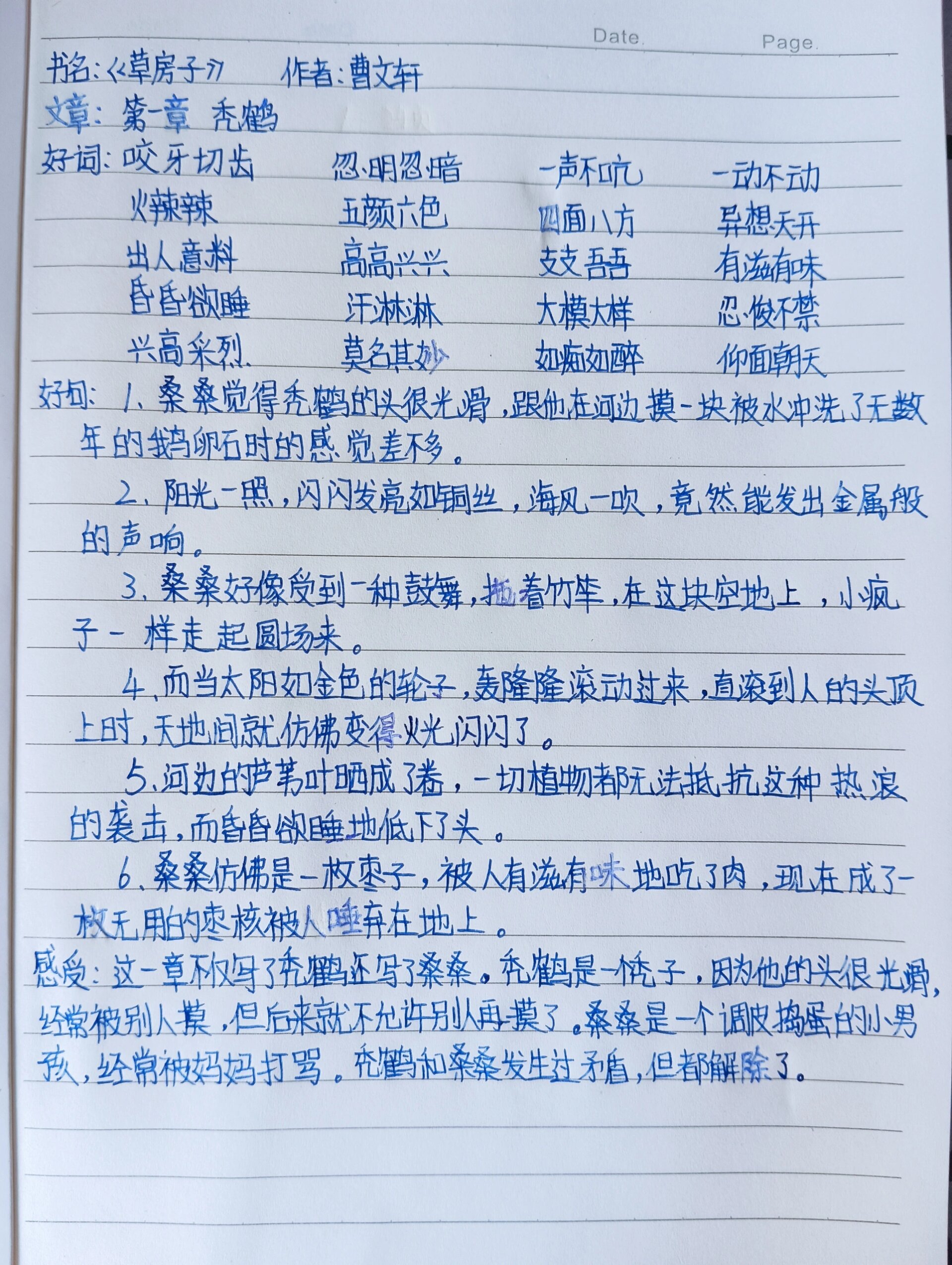 《草房子》读书笔记 第一章 秃鹤