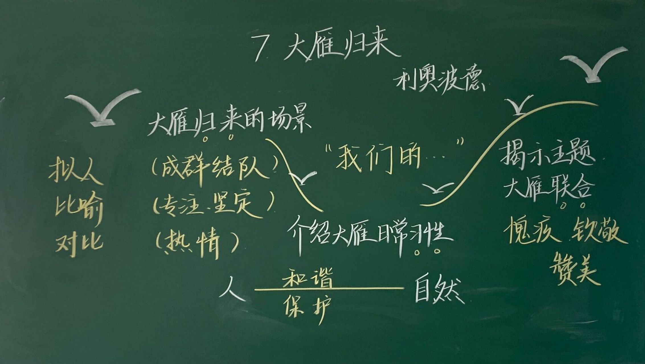 八下语文《大雁归来》 自读课文,重点在于学习任务和教学问题的设计