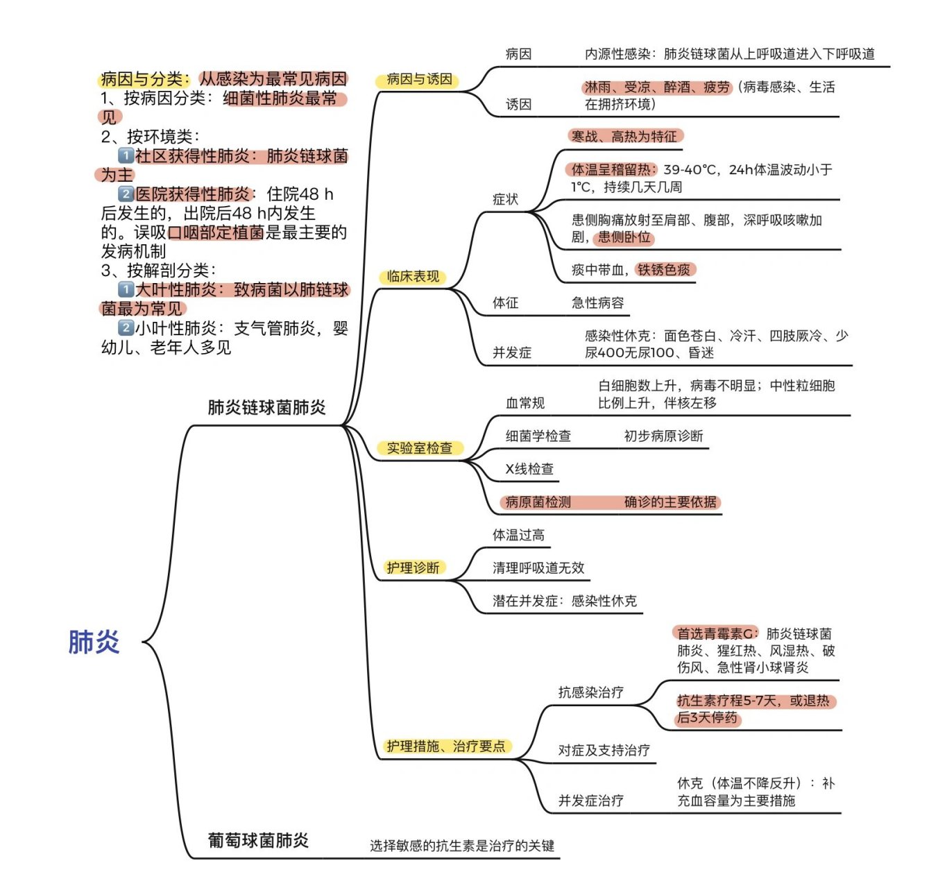 抗疫病毒的思维导图图片