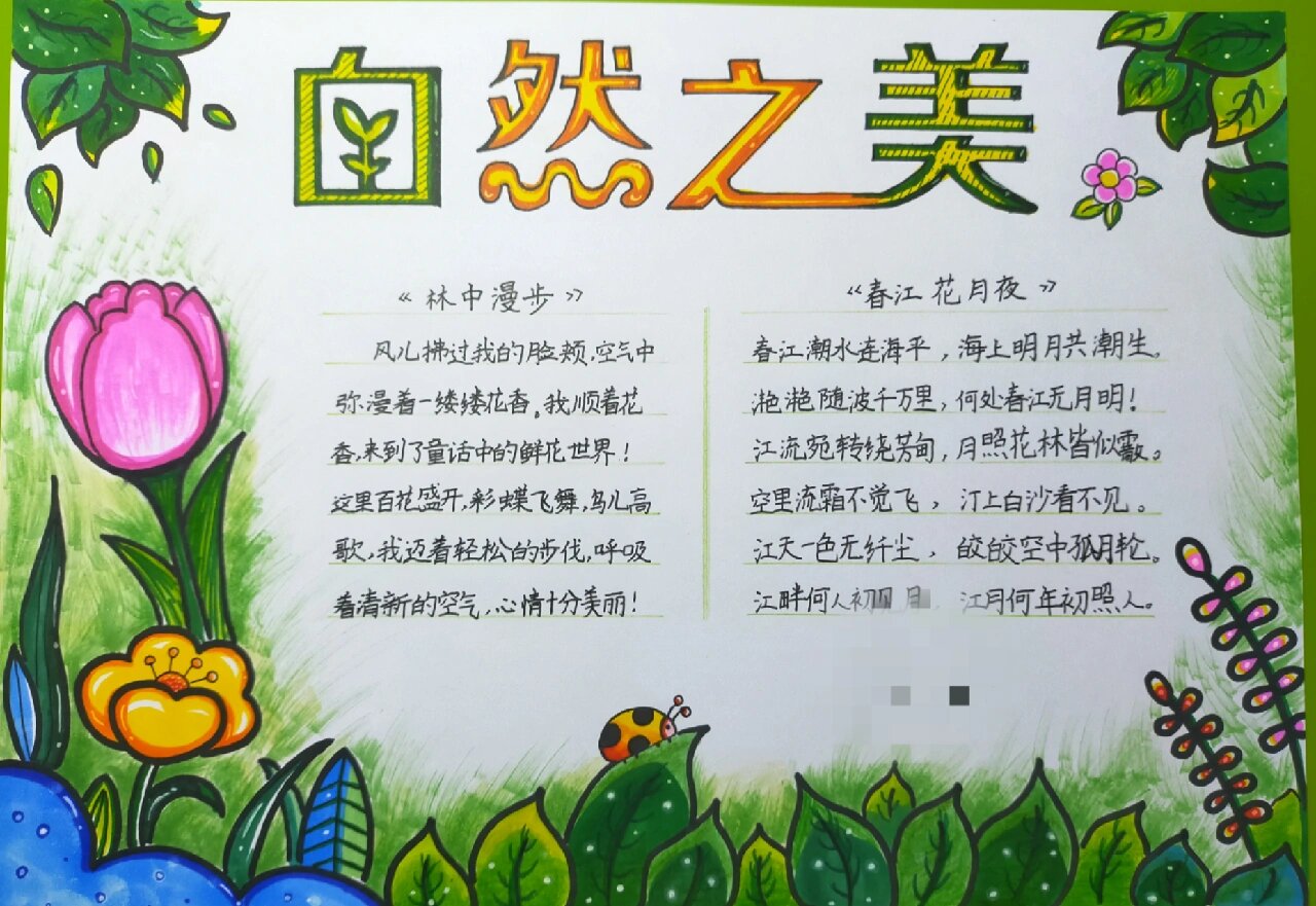 四上语文 自然之美手抄报