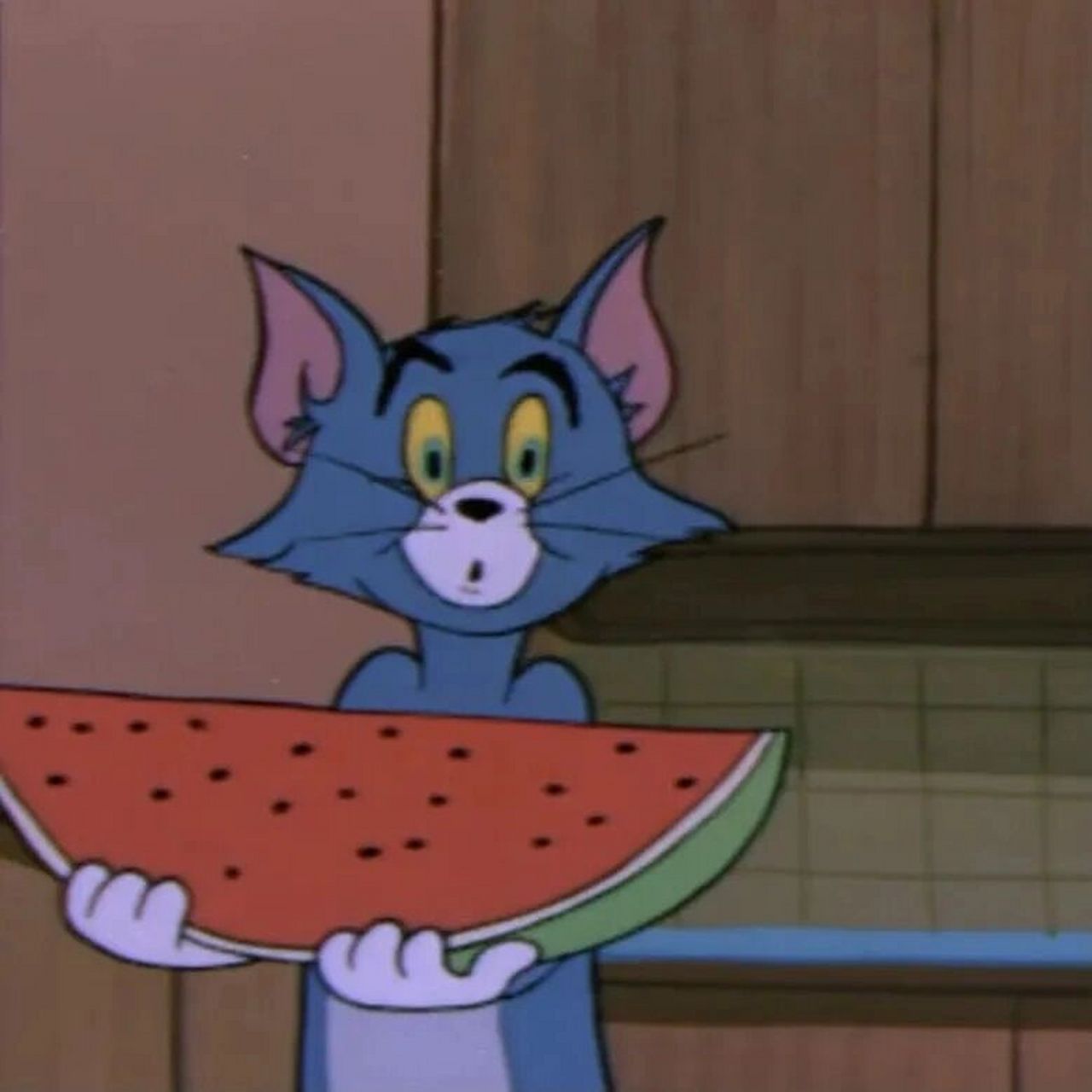 头像集·汤姆和杰瑞的汤姆 喜欢汤姆和杰瑞.