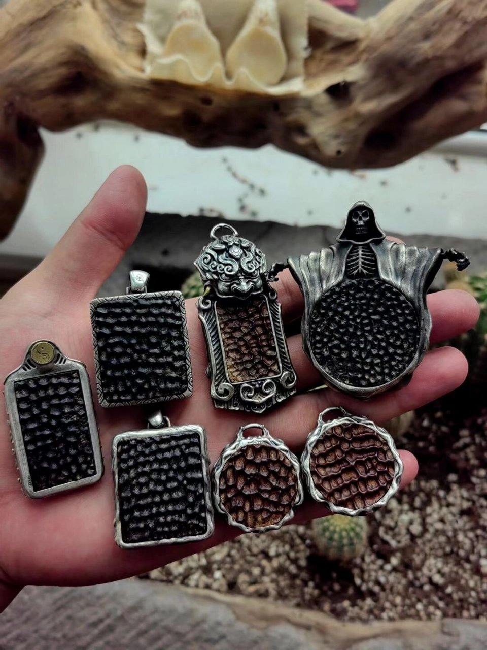 六朝鼋甲新鲜出炉 鳖之最大者谓之鼋 六朝鼋甲,即距今一千多年六朝