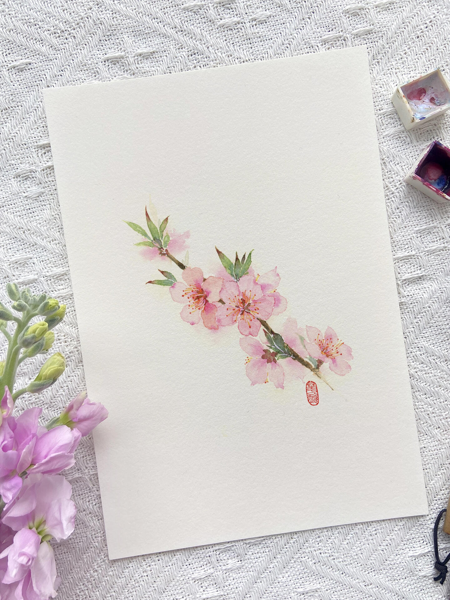 古风花卉丨水彩手绘·桃花始翩然