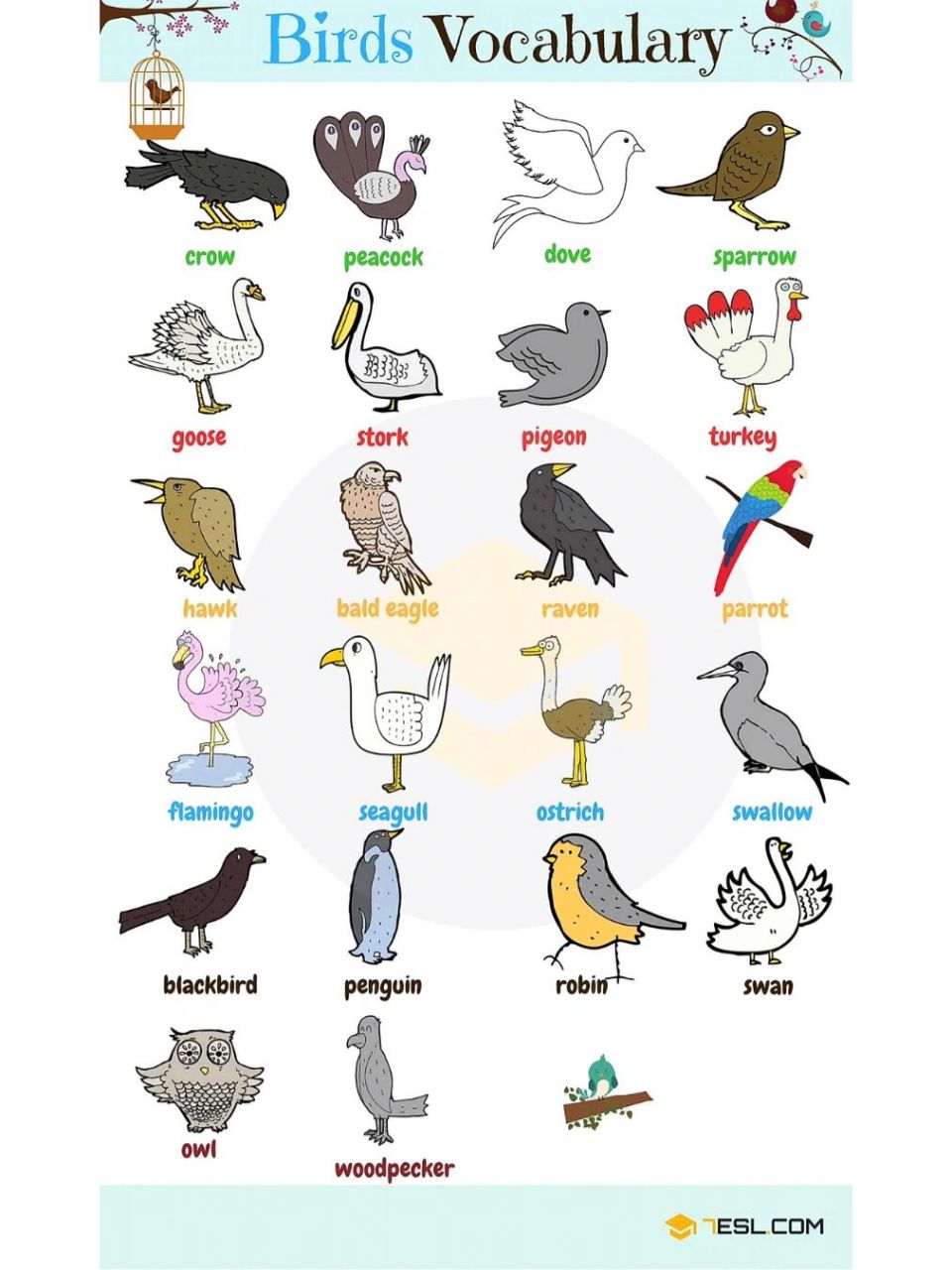 raven和crow的区别 	 1,作名词时,raven意思为渡鸦;crow意思时乌鸦,像