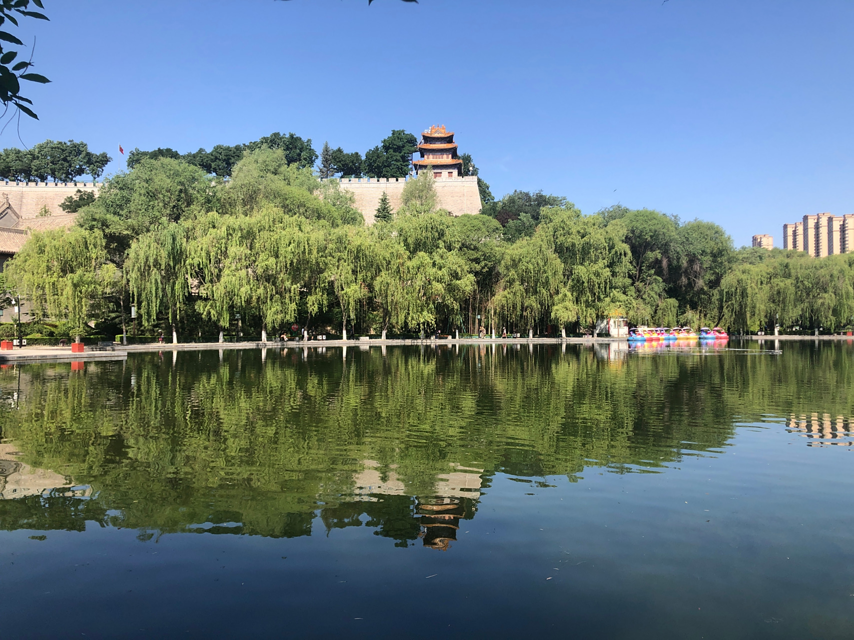 柳湖公园位于平凉市区西北隅,西兰公路南侧,是陇东著名的自然山水园林