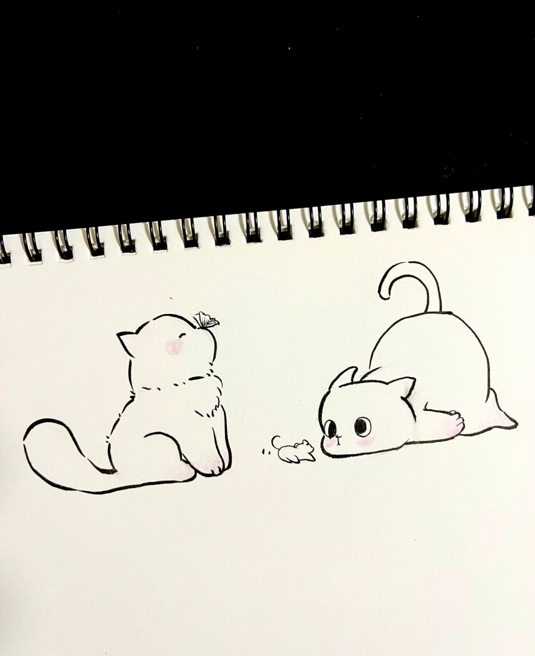 敲可爱猫咪简笔画|被可爱治愈了|内附细节 想做你枕边书,怀中猫,心上