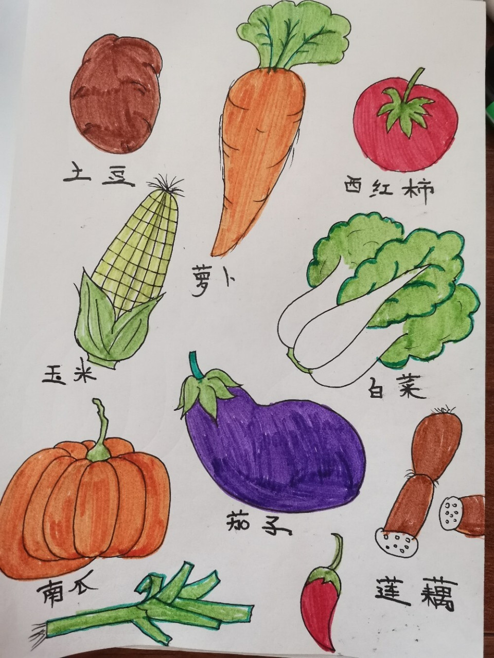 水彩手绘,蔬菜简笔画 萝卜青菜,各有所爱(73°з-79